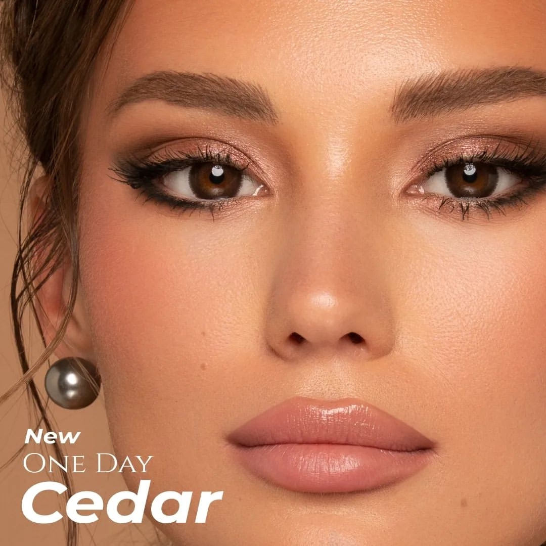 Bella One Day Collection Color Contact Lens - Cedar (10 lens/box)