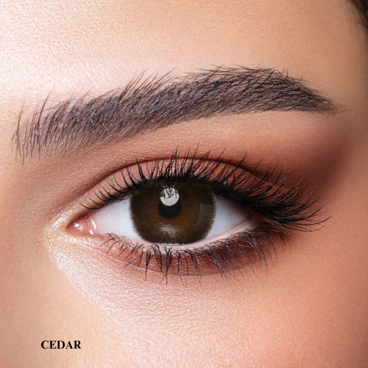 Bella One Day Collection Color Contact Lens - Cedar (10 lens/box)
