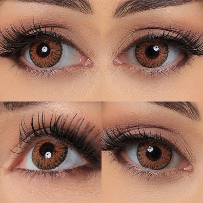 CELEBRATION COLORS | Yearly Color Contact Lens (1 Lens Per Bottle)-Honey Allure
