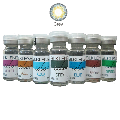 Silklens Color Yearly (1 lens/box) - Grey